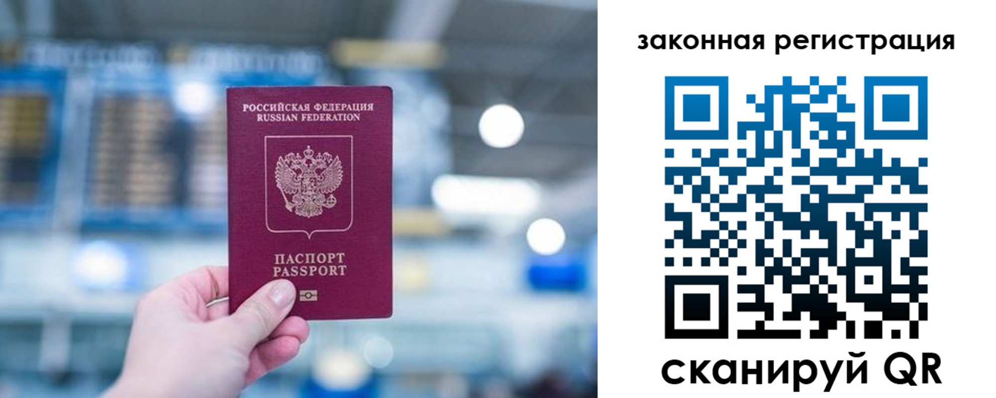 прописка поиск в Шебекино
